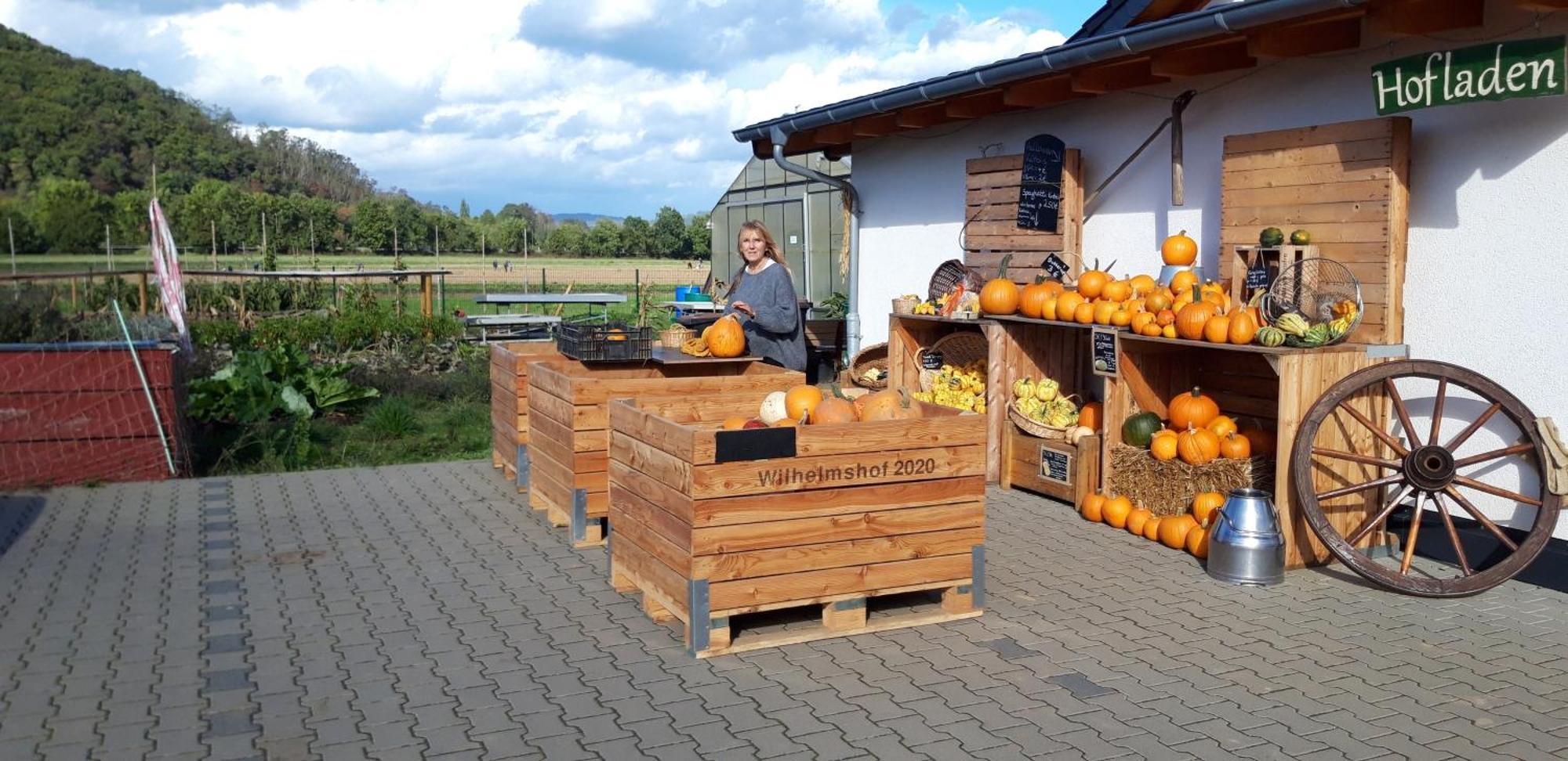 Ferienwohnung Wilhelmshof Зинциг Екстериор снимка